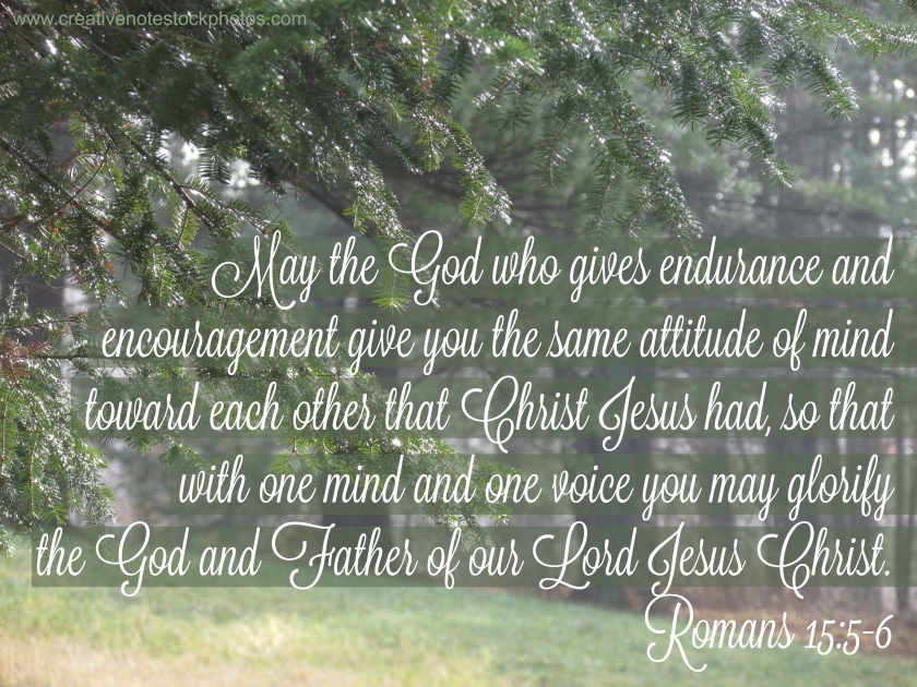 Romans, Romans 5, hope, endurance, perseverance, encouragement, attitude, Christ Jesus, God and Father, 